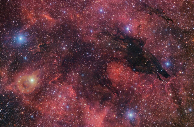 The Dark Wolf Nebula