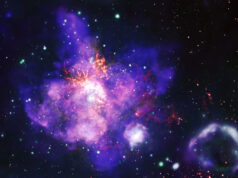 En bukett blomstrande stjärnor på Alla hjärtans dag Tarantelnebulosan