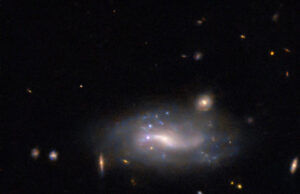 Supernova i galax i Bildhuggaren – fångad av Hubble Supernova